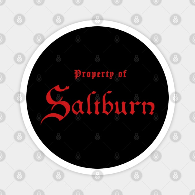 Saltburn Movie Design Magnet by PengellyArt